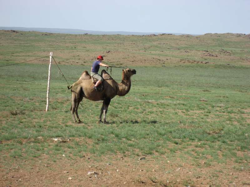 Camel riding