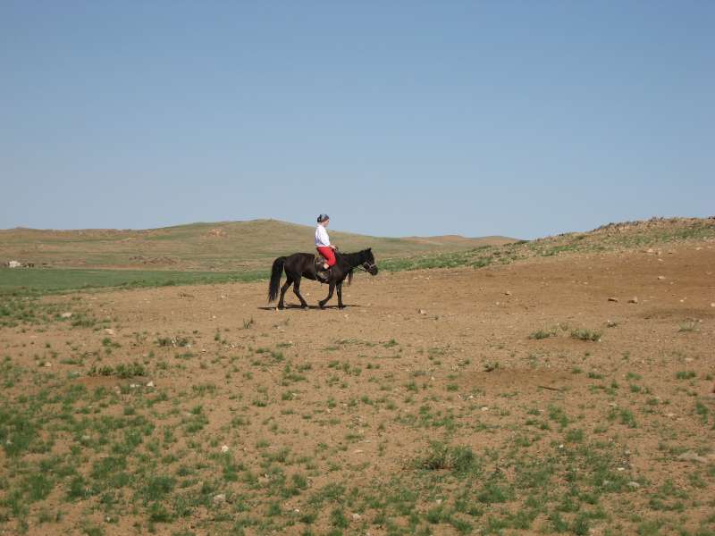 Horse riding