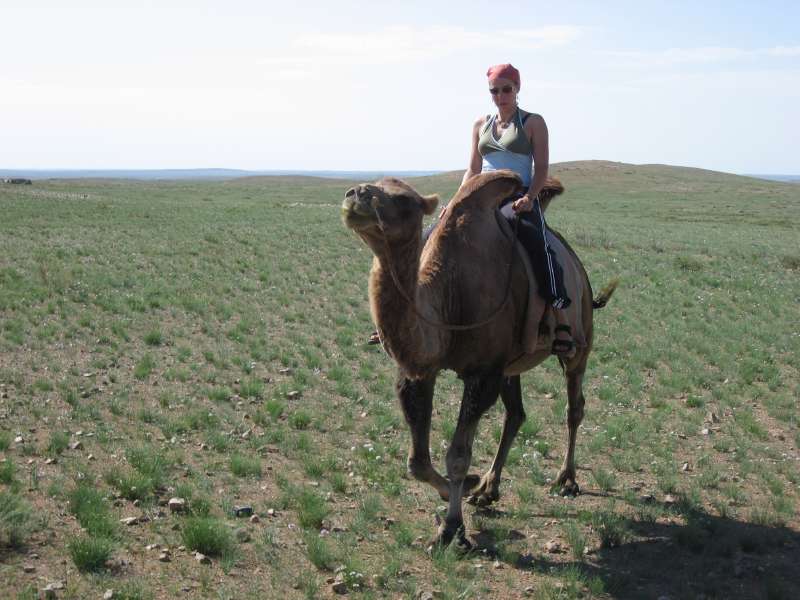 Camel riding