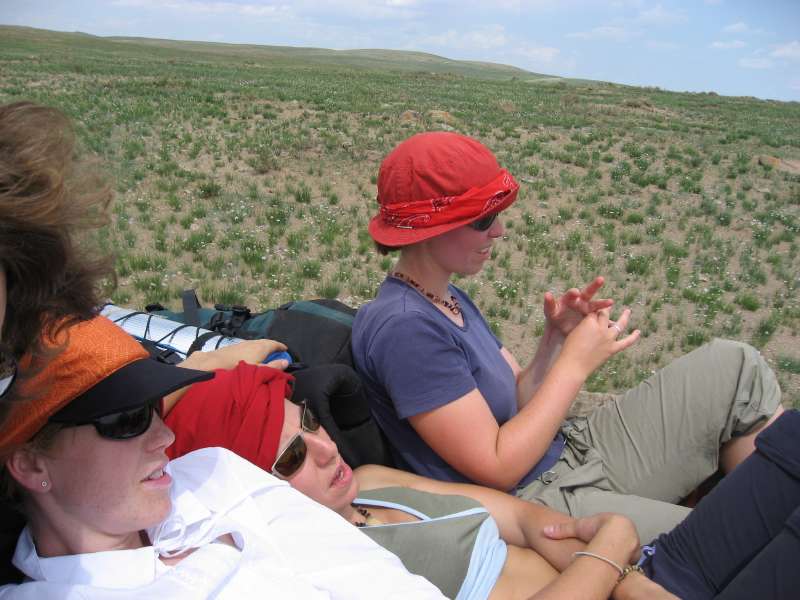 on the Camel Cart