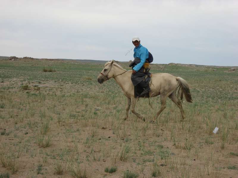 Horse riding