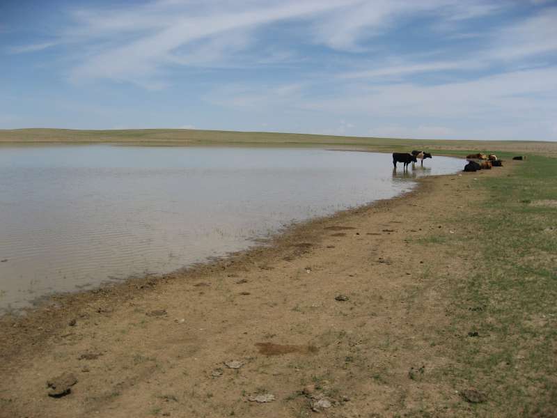 Gobi Lake
