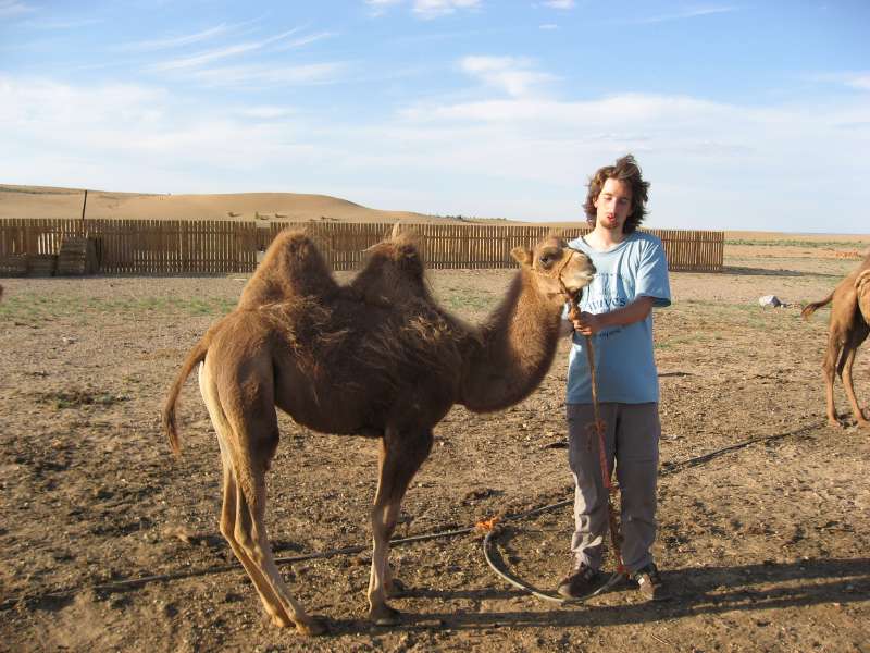 Camel and David