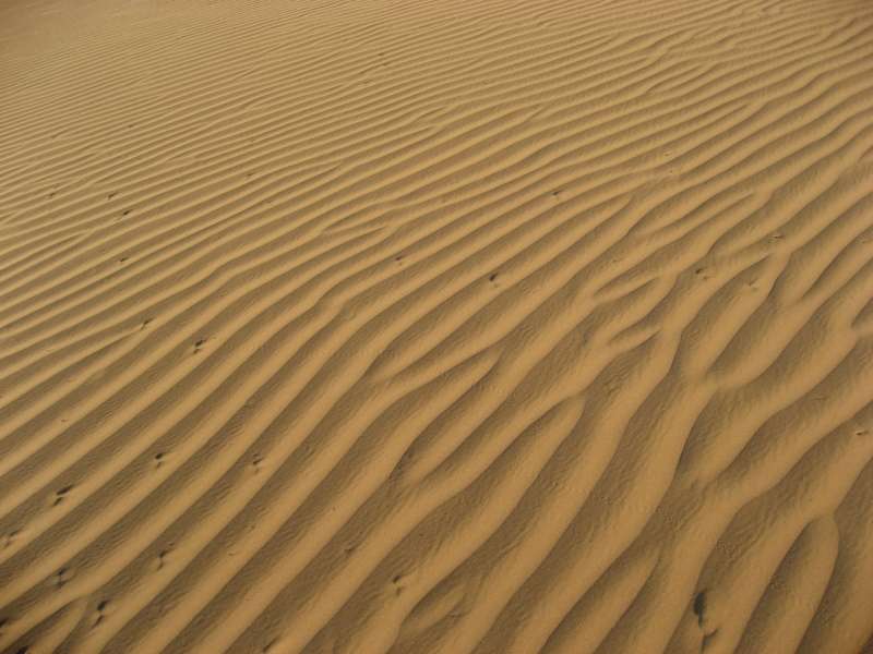 Uush Sand Dunes