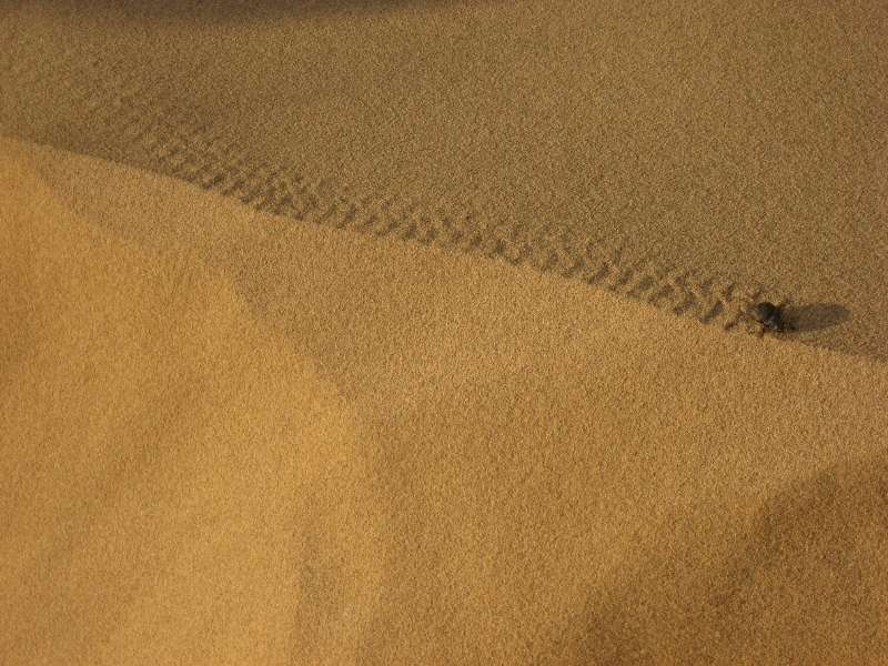 Uush Sand Dunes