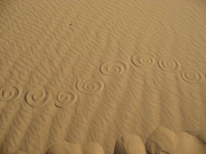 Pictures in the sand