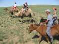 Camel riding