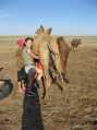 Oyuga milking a Camel