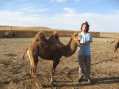 Camel and David