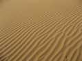 Uush Sand Dunes