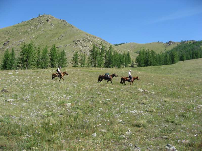 Horseriding