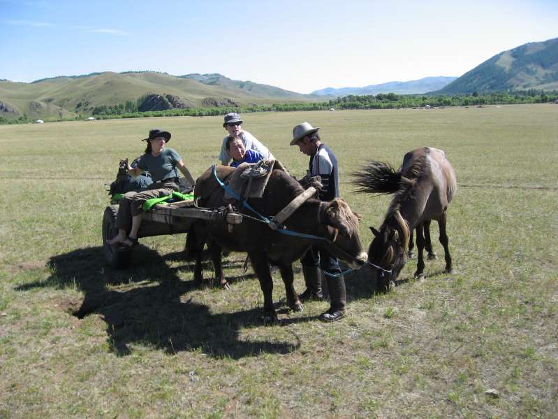 Ox Cart