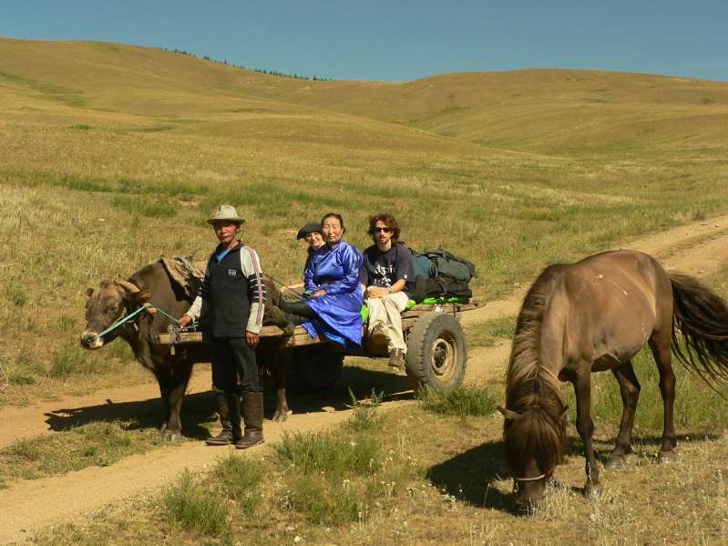 Ox Cart