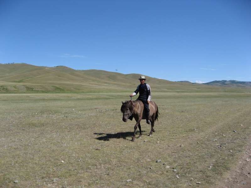 Bareback Horseriding