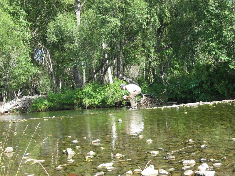David tries to cross the river