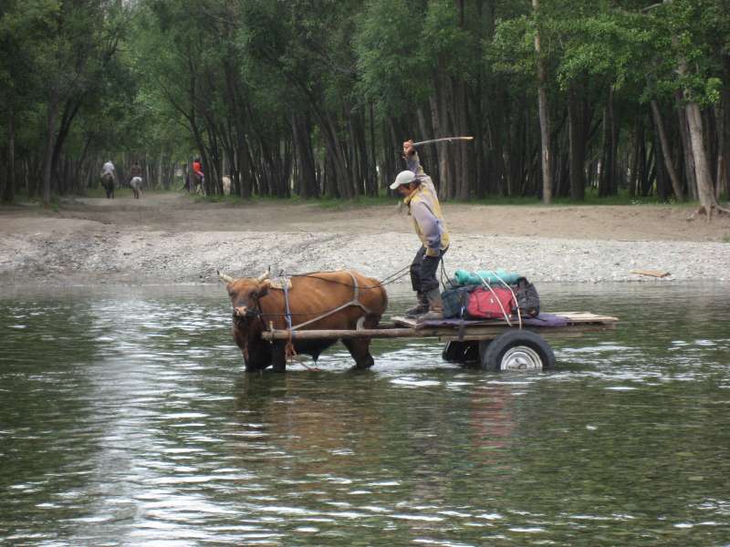 Crossing the river