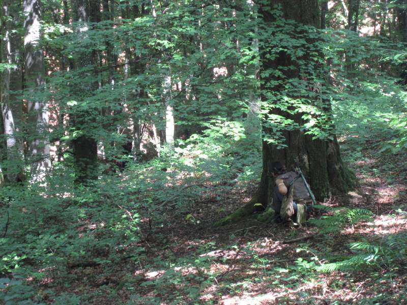 A ranger is observing the priests.