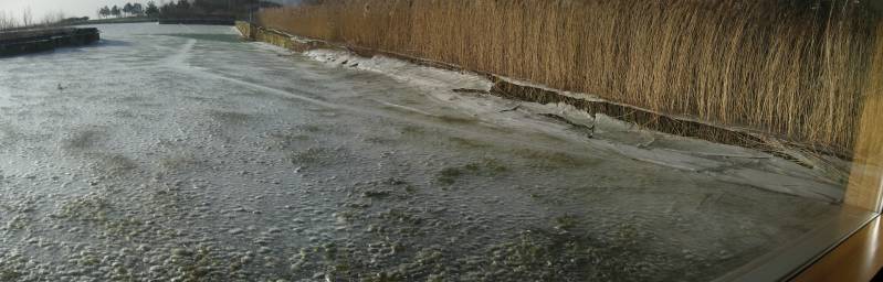 Panorama of frozen Pond