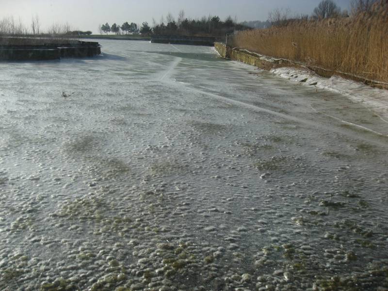 Frozen Pond