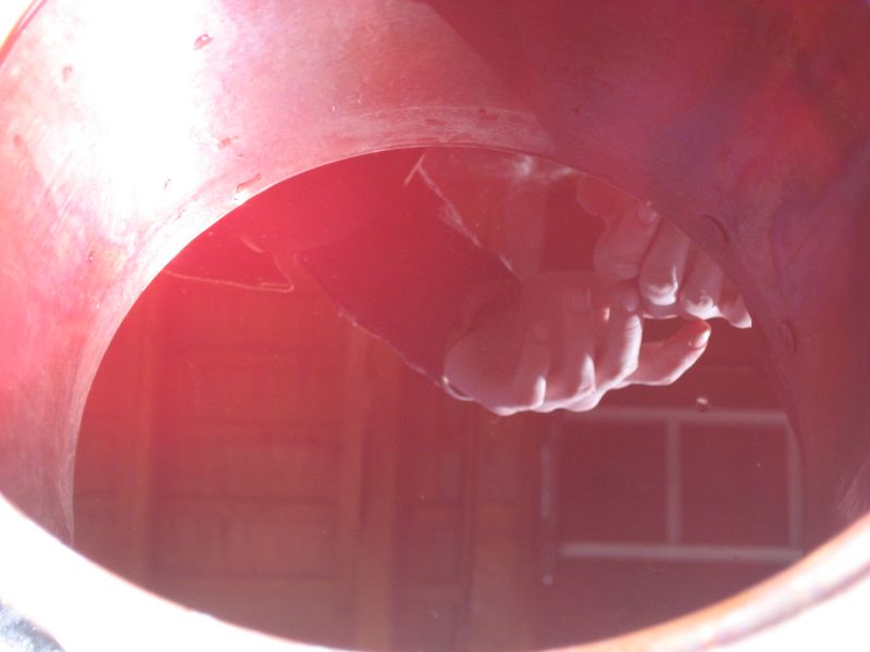 The maidservan'ts bucket filled with bloody water.