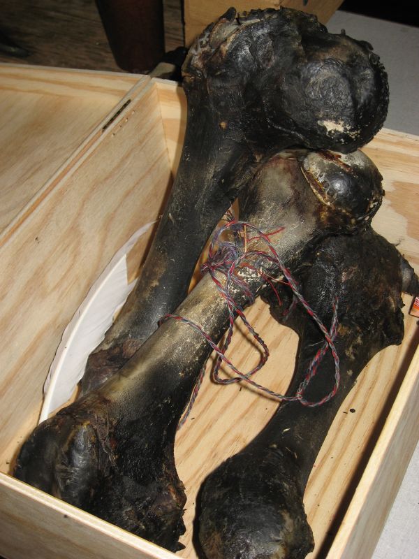 Bones needed for the ritual to destroy Lord Heinrich