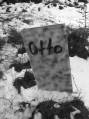 The Cemetery: Otto's grave