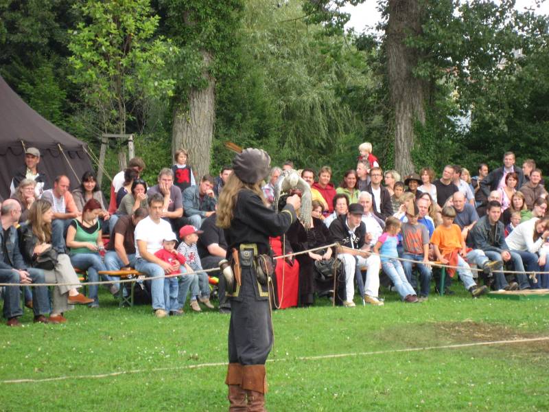 Falcon Show
