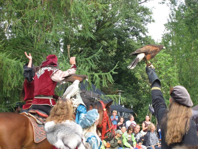Falcon Show