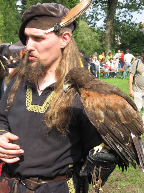 Falcon Show