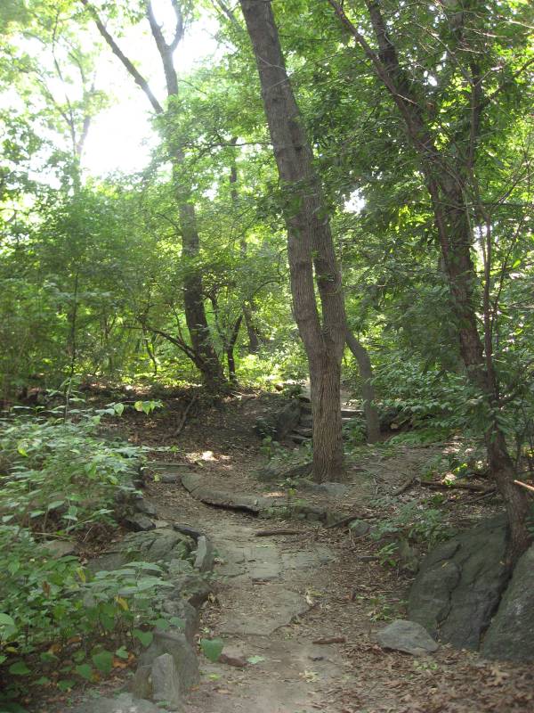 Central Park