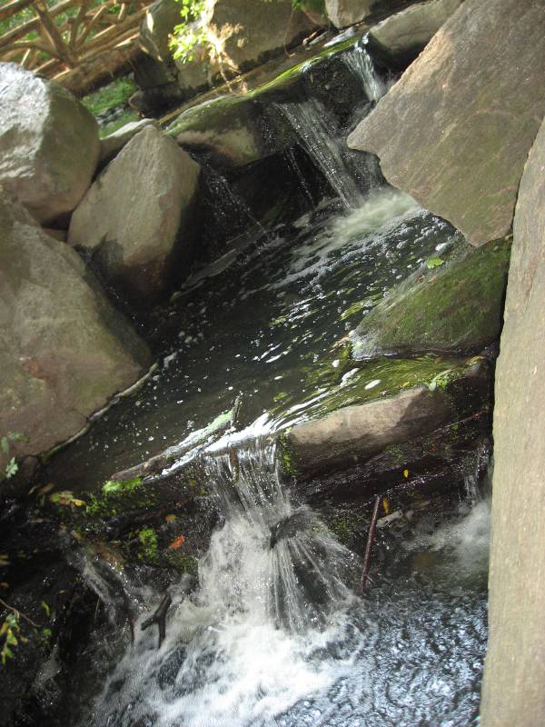 Central Park