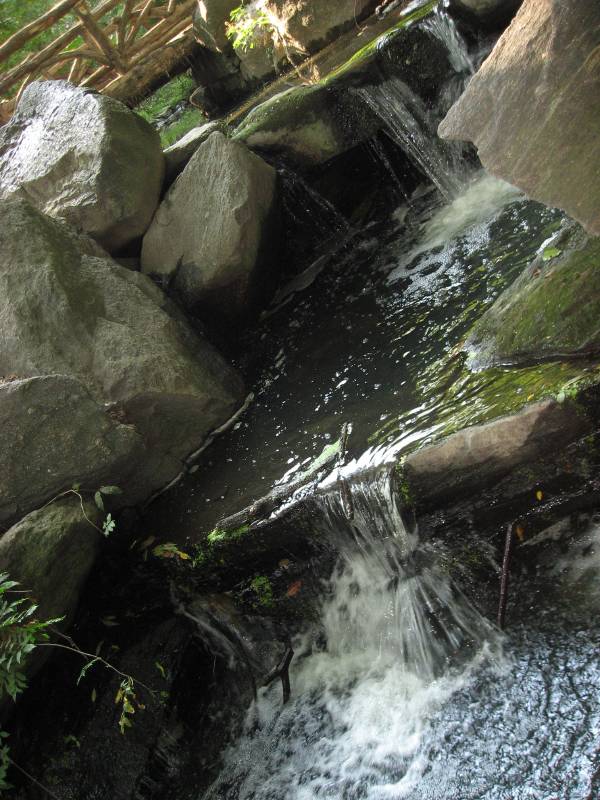 Central Park