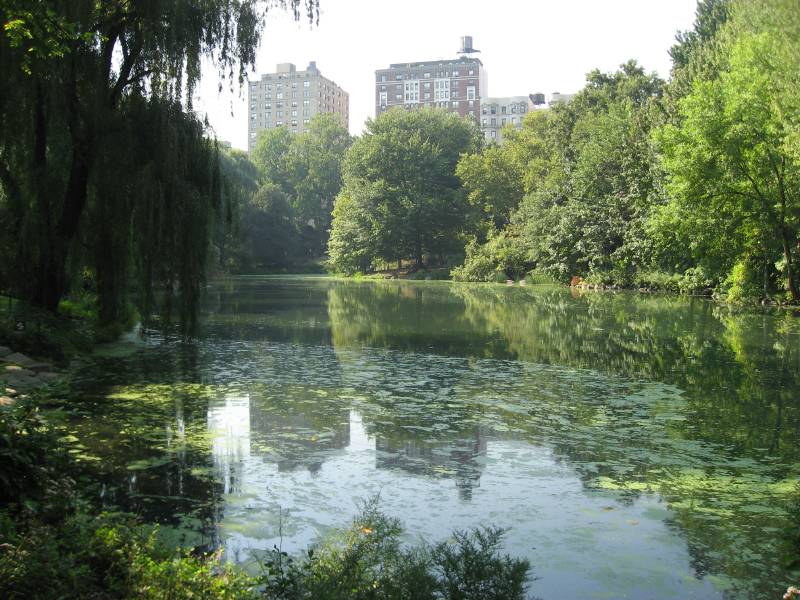 Central Park