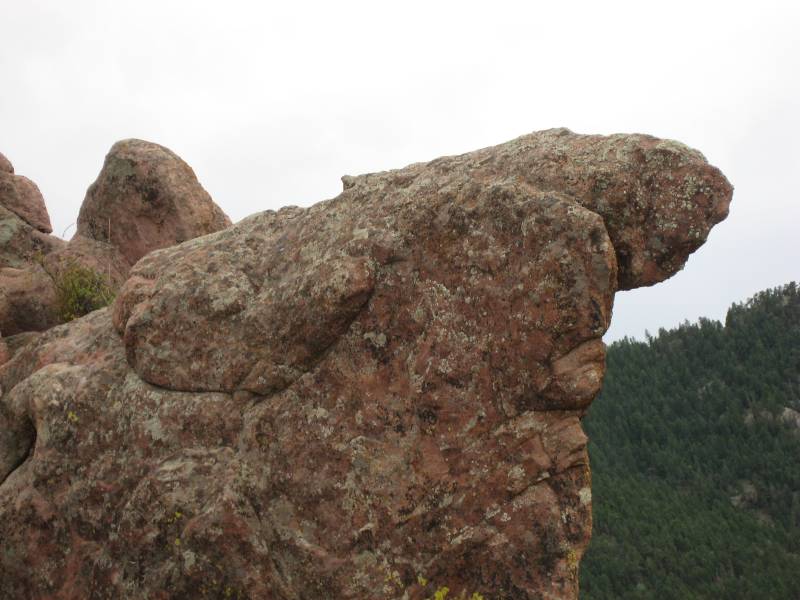 What do you see in this rock?