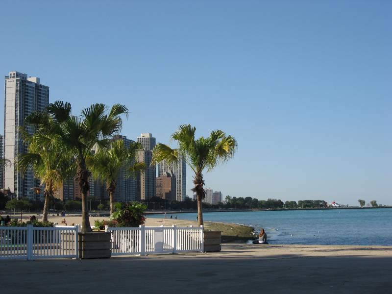 The Beach