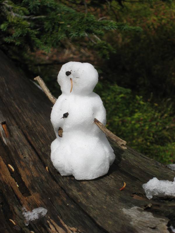A Snowman!!