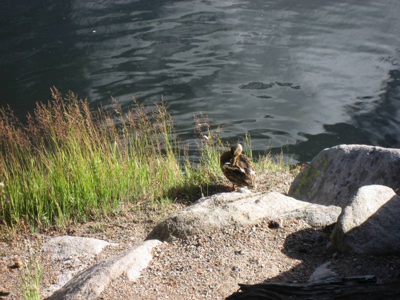 Bear Lake