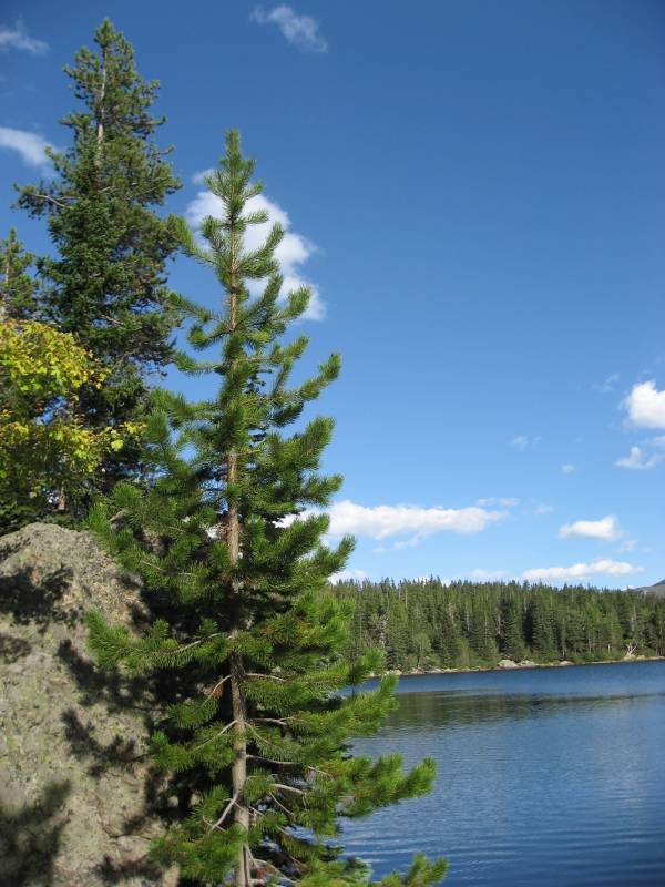 Bear Lake