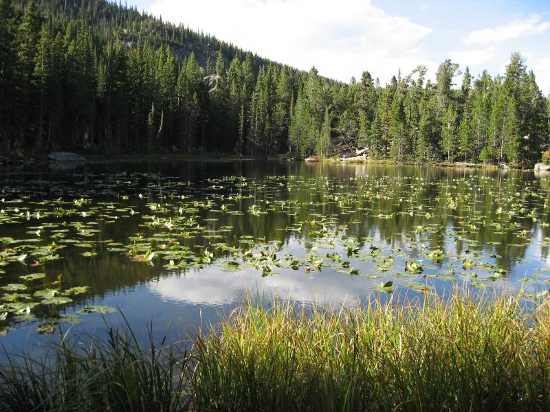 Nymph Lake