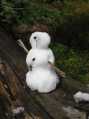 A Snowman!!