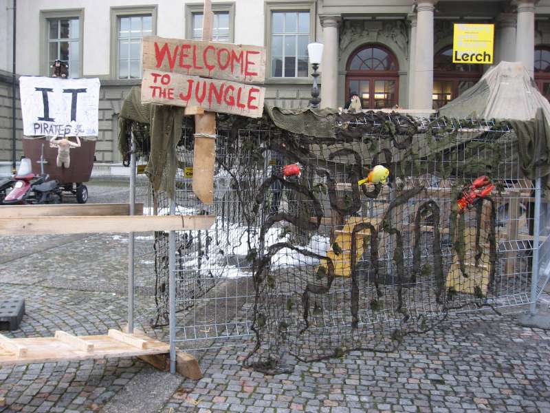 The Jungle